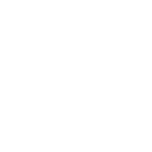 Wethington Insurance - Icon White